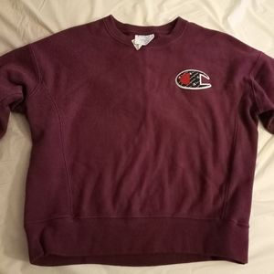 Maroon/Wine Red Champion Sweater